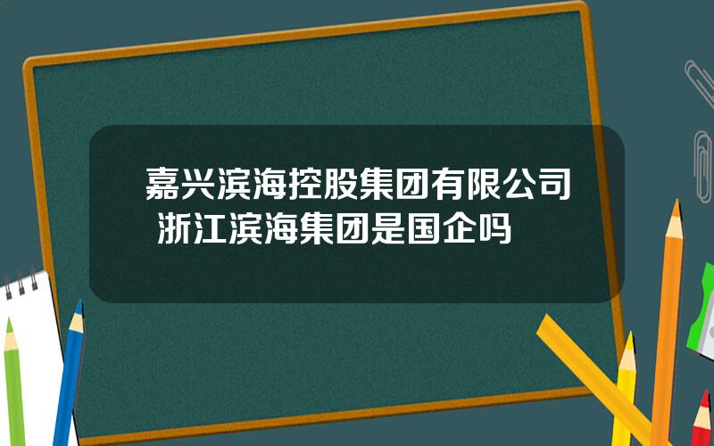 嘉兴滨海控股集团有限公司 浙江滨海集团是国企吗